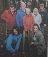 Tree planting at Penrice house